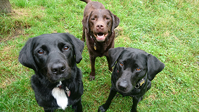 September 2016 Photo 4